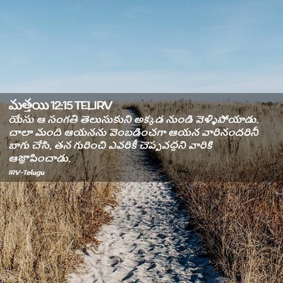 Picture 02 - మత్తయి 12:15 TELIRV - యేసు ఆ సంగతి - Bible Verse Picture