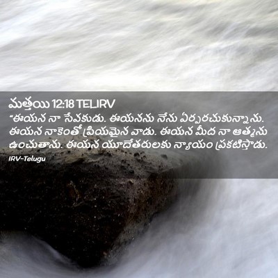 Picture 02 - మత్తయి 12:18 TELIRV - “ఈయన నా సేవకుడు. - Bible Verse Picture