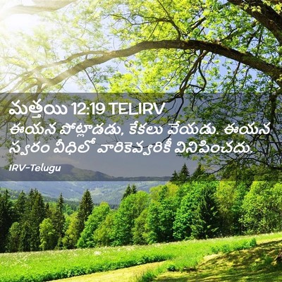 Picture 02 - మత్తయి 12:19 TELIRV - ఈయన పోట్లాడడు, - Bible Verse Picture