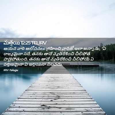 Picture 02 - మత్తయి 12:25 TELIRV - ఆయన వారి ఆలోచనలు - Bible Verse Picture