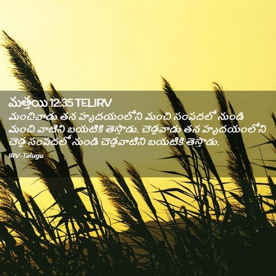 Picture 02 - మత్తయి 12:35 TELIRV - మంచివాడు తన - Bible Verse Picture