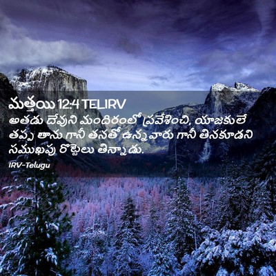 Picture 02 - మత్తయి 12:4 TELIRV - అతడు దేవుని - Bible Verse Picture
