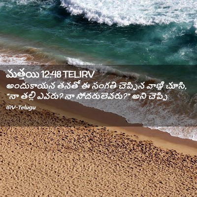 Picture 02 - మత్తయి 12:48 TELIRV - అందుకాయన తనతో ఈ - Bible Verse Picture