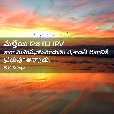 Picture 02 - మత్తయి 12:8 TELIRV - కాగా - Bible Verse Picture