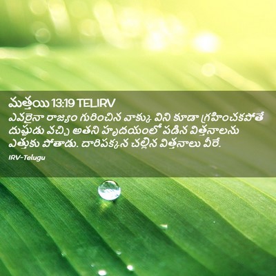Picture 02 - మత్తయి 13:19 TELIRV - ఎవరైనా రాజ్యం - Bible Verse Picture