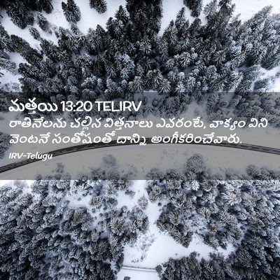 Picture 02 - మత్తయి 13:20 TELIRV - రాతినేలను చల్లిన - Bible Verse Picture