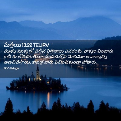 Picture 02 - మత్తయి 13:22 TELIRV - ముళ్ళ మొక్కల్లో - Bible Verse Picture