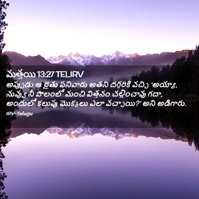 Picture 02 - మత్తయి 13:27 TELIRV - అప్పుడు ఆ రైతు - Bible Verse Picture