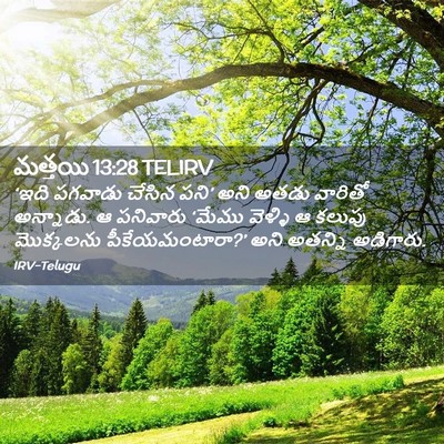 Picture 02 - మత్తయి 13:28 TELIRV - ‘ఇది పగవాడు చేసిన - Bible Verse Picture