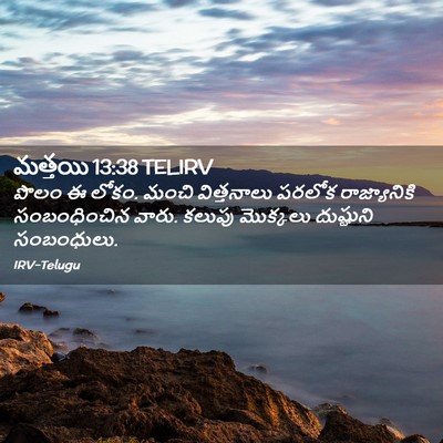 Picture 02 - మత్తయి 13:38 TELIRV - పొలం ఈ లోకం. మంచి - Bible Verse Picture