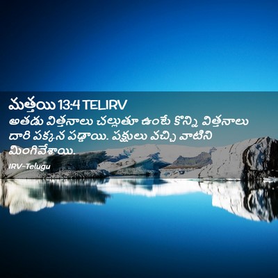 Picture 02 - మత్తయి 13:4 TELIRV - అతడు విత్తనాలు - Bible Verse Picture