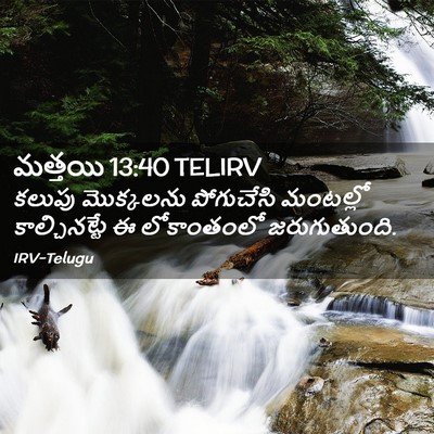 Picture 02 - మత్తయి 13:40 TELIRV - కలుపు మొక్కలను - Bible Verse Picture