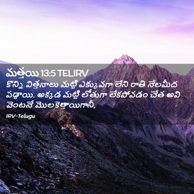 Picture 02 - మత్తయి 13:5 TELIRV - కొన్ని విత్తనాలు - Bible Verse Picture