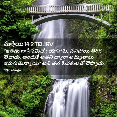 Picture 02 - మత్తయి 14:2 TELIRV - “ఇతడు - Bible Verse Picture