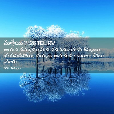 Picture 02 - మత్తయి 14:26 TELIRV - ఆయన సముద్రం మీద - Bible Verse Picture