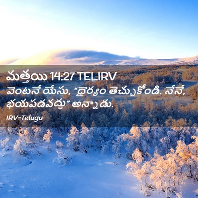 Picture 02 - మత్తయి 14:27 TELIRV - వెంటనే యేసు, - Bible Verse Picture