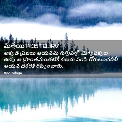 Picture 02 - మత్తయి 14:35 TELIRV - అక్కడి ప్రజలు - Bible Verse Picture