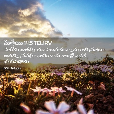 Picture 02 - మత్తయి 14:5 TELIRV - హేరోదు అతన్ని - Bible Verse Picture