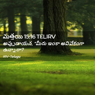 Picture 02 - మత్తయి 15:16 TELIRV - అప్పుడాయన, “మీరు - Bible Verse Picture