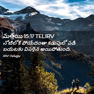 Picture 02 - మత్తయి 15:17 TELIRV - నోటిలోకి పోయేదంతా - Bible Verse Picture