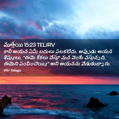 Picture 02 - మత్తయి 15:23 TELIRV - కానీ ఆయన ఏమీ బదులు - Bible Verse Picture