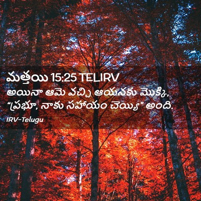 Picture 02 - మత్తయి 15:25 TELIRV - అయినా ఆమె వచ్చి - Bible Verse Picture