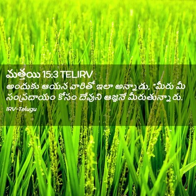 Picture 02 - మత్తయి 15:3 TELIRV - అందుకు ఆయన వారితో - Bible Verse Picture