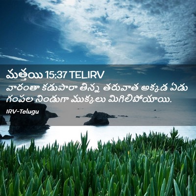 Picture 02 - మత్తయి 15:37 TELIRV - వారంతా కడుపారా - Bible Verse Picture