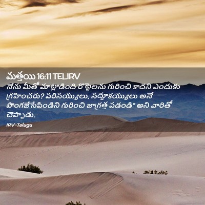 Picture 02 - మత్తయి 16:11 TELIRV - నేను మీతో - Bible Verse Picture