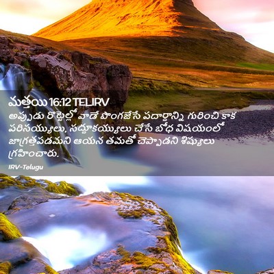 Picture 02 - మత్తయి 16:12 TELIRV - అప్పుడు - Bible Verse Picture