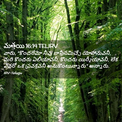 Picture 02 - మత్తయి 16:14 TELIRV - వారు, “కొందరేమో - Bible Verse Picture
