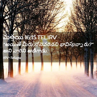 Picture 02 - మత్తయి 16:15 TELIRV - “అయితే మీరు - Bible Verse Picture