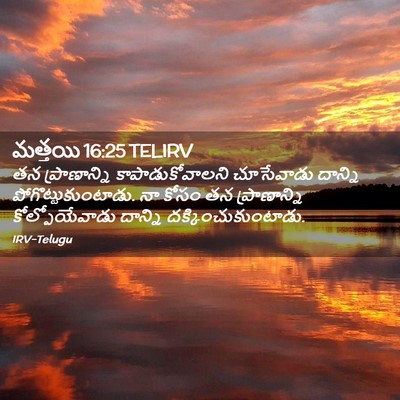 Picture 02 - మత్తయి 16:25 TELIRV - తన ప్రాణాన్ని - Bible Verse Picture