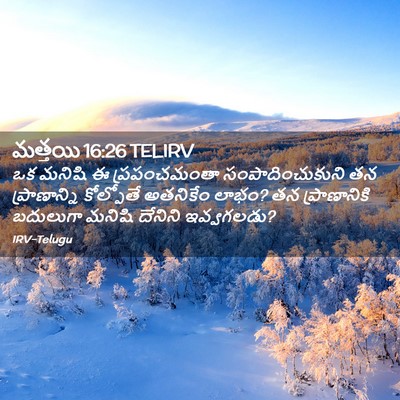 Picture 02 - మత్తయి 16:26 TELIRV - ఒక మనిషి ఈ - Bible Verse Picture