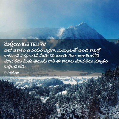 Picture 02 - మత్తయి 16:3 TELIRV - అదే ఆకాశం ఉదయం - Bible Verse Picture