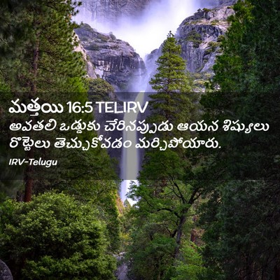 Picture 02 - మత్తయి 16:5 TELIRV - అవతలి ఒడ్డుకు - Bible Verse Picture