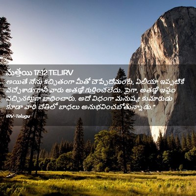 Picture 02 - మత్తయి 17:12 TELIRV - అయితే నేను - Bible Verse Picture