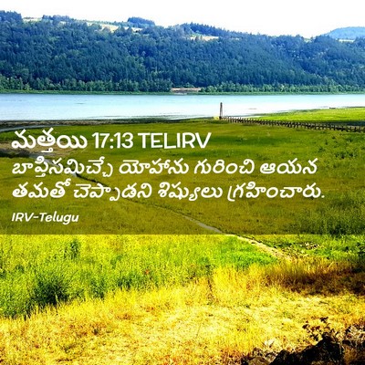 Picture 02 - మత్తయి 17:13 TELIRV - బాప్తిసమిచ్చే - Bible Verse Picture