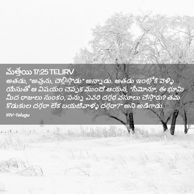Picture 02 - మత్తయి 17:25 TELIRV - అతడు, “అవును, - Bible Verse Picture