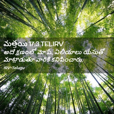 Picture 02 - మత్తయి 17:3 TELIRV - అదే క్షణంలో మోషే, - Bible Verse Picture