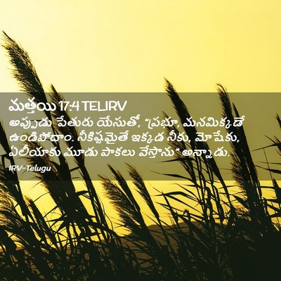 Picture 02 - మత్తయి 17:4 TELIRV - అప్పుడు పేతురు - Bible Verse Picture