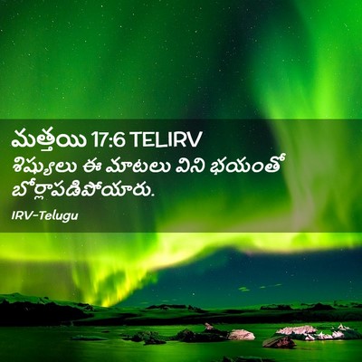 Picture 02 - మత్తయి 17:6 TELIRV - శిష్యులు ఈ మాటలు - Bible Verse Picture