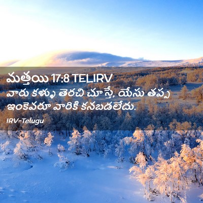 Picture 02 - మత్తయి 17:8 TELIRV - వారు కళ్ళు తెరచి - Bible Verse Picture