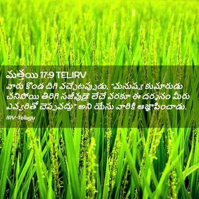 Picture 02 - మత్తయి 17:9 TELIRV - వారు కొండ దిగి - Bible Verse Picture