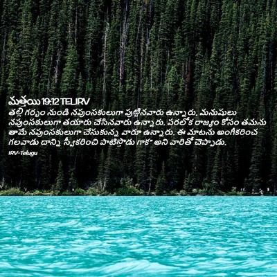 Picture 02 - మత్తయి 19:12 TELIRV - తల్లి గర్భం నుండి - Bible Verse Picture