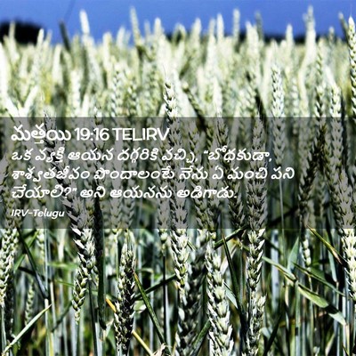 Picture 02 - మత్తయి 19:16 TELIRV - ఒక వ్యక్తి ఆయన - Bible Verse Picture