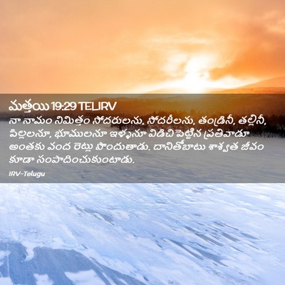 Picture 02 - మత్తయి 19:29 TELIRV - నా నామం నిమిత్తం - Bible Verse Picture