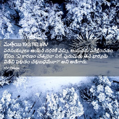 Picture 02 - మత్తయి 19:3 TELIRV - పరిసయ్యులు ఆయన - Bible Verse Picture
