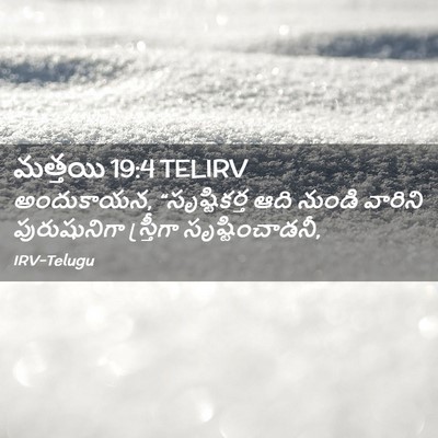 Picture 02 - మత్తయి 19:4 TELIRV - అందుకాయన, - Bible Verse Picture