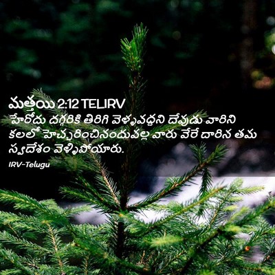 Picture 02 - మత్తయి 2:12 TELIRV - హేరోదు దగ్గరికి - Bible Verse Picture